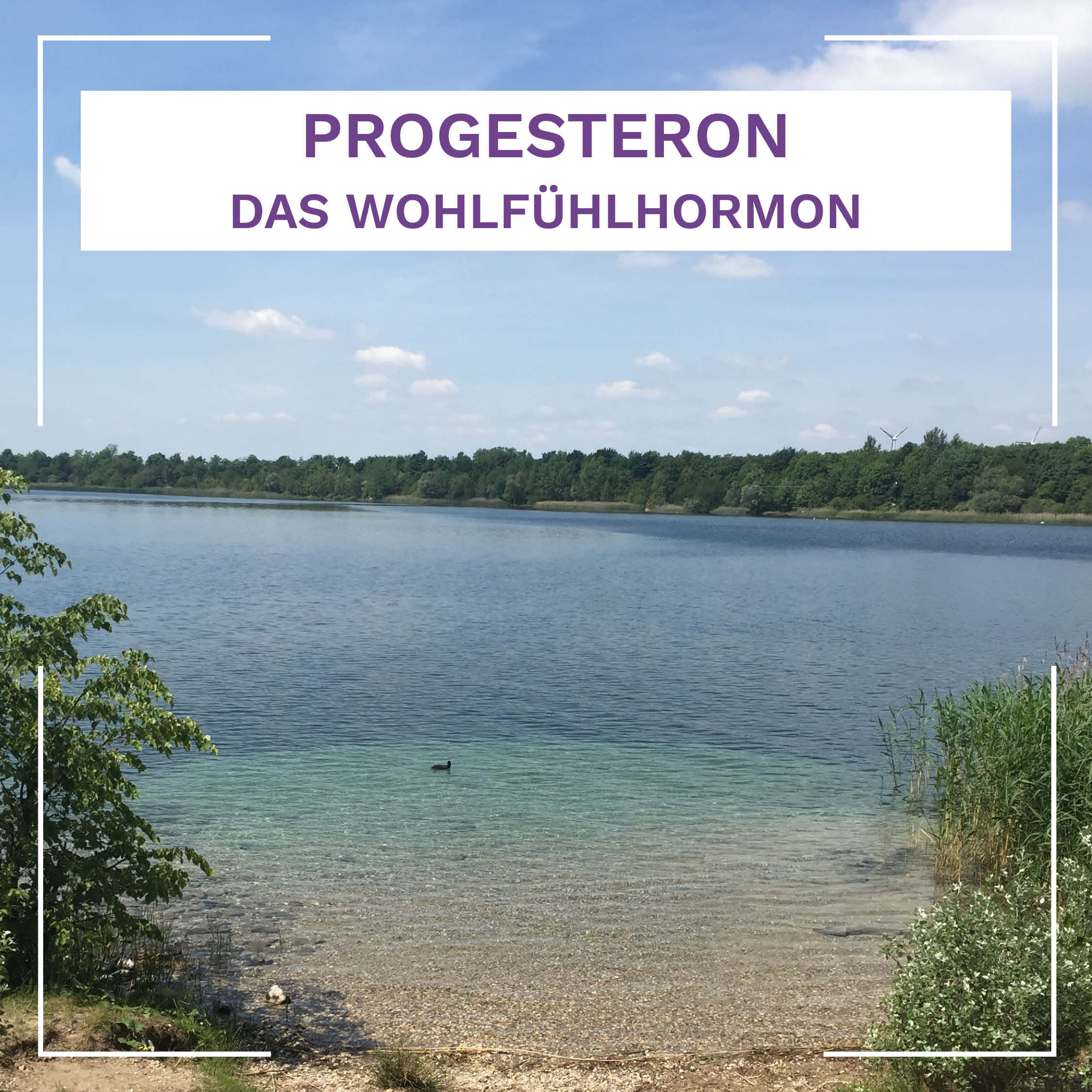 Progesteron – das Wohlfühlhormon