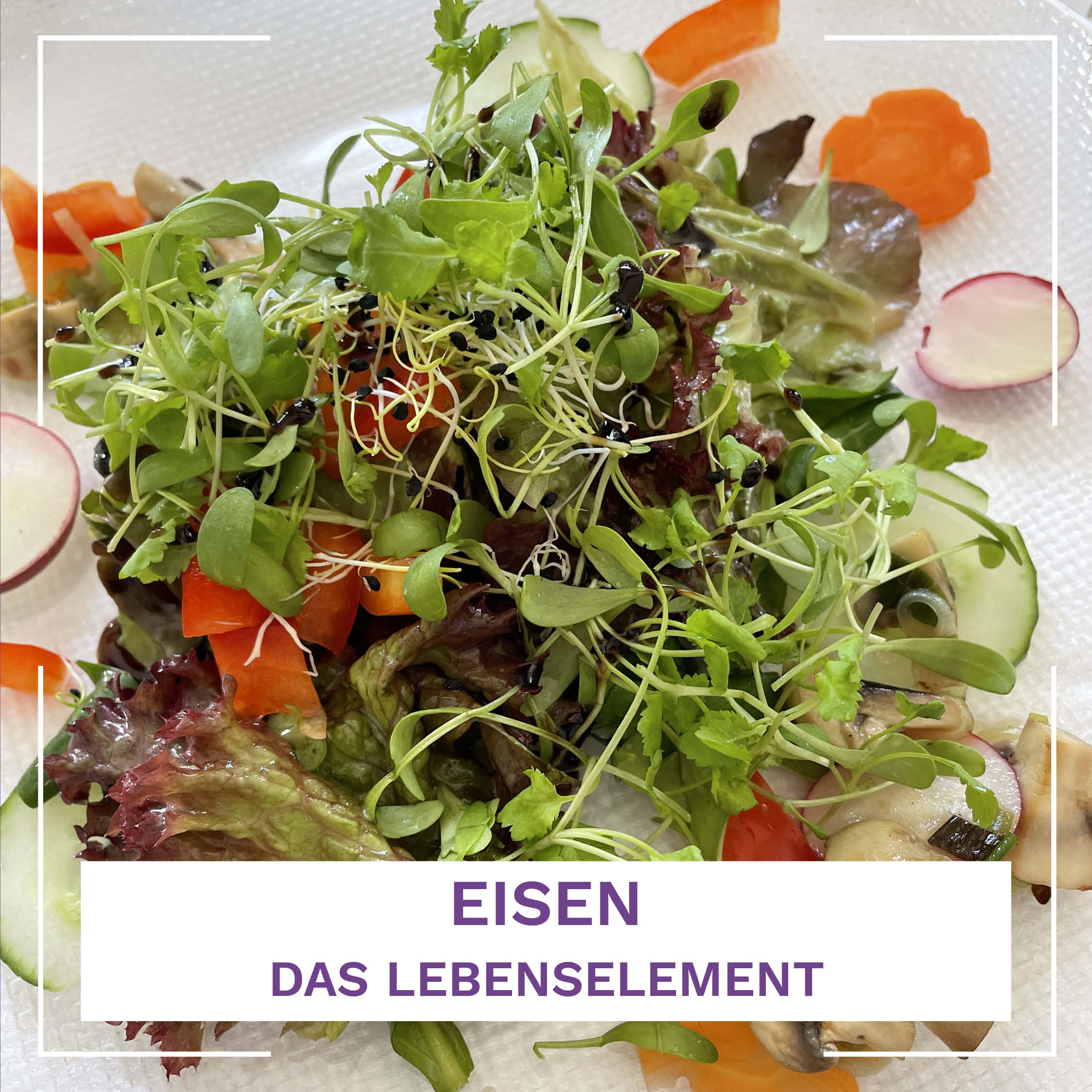 Eisen – das Lebenselement