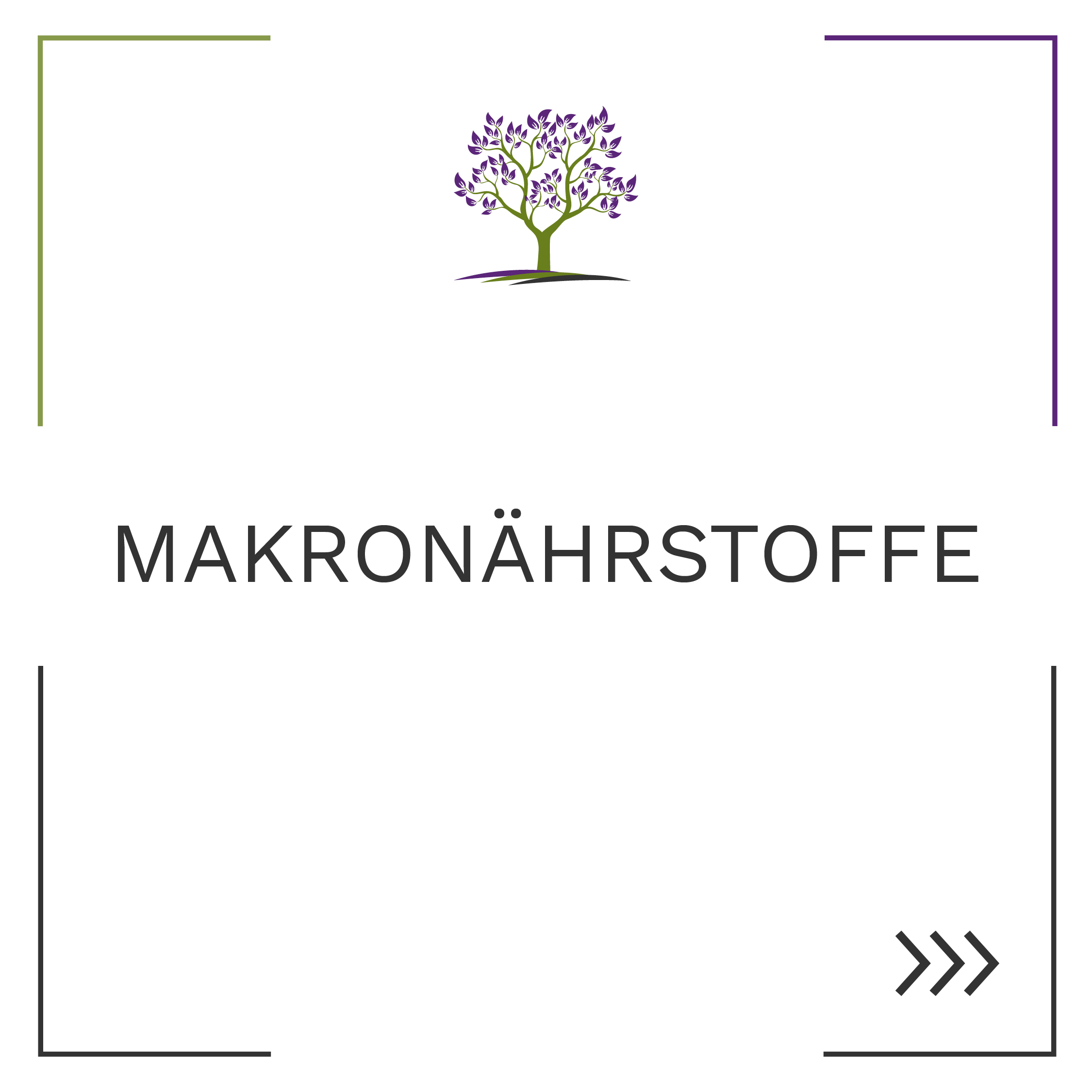 Makronährstoffe - Hauptenergielieferanten und Grundlage aller Stoffwechselvorgänge