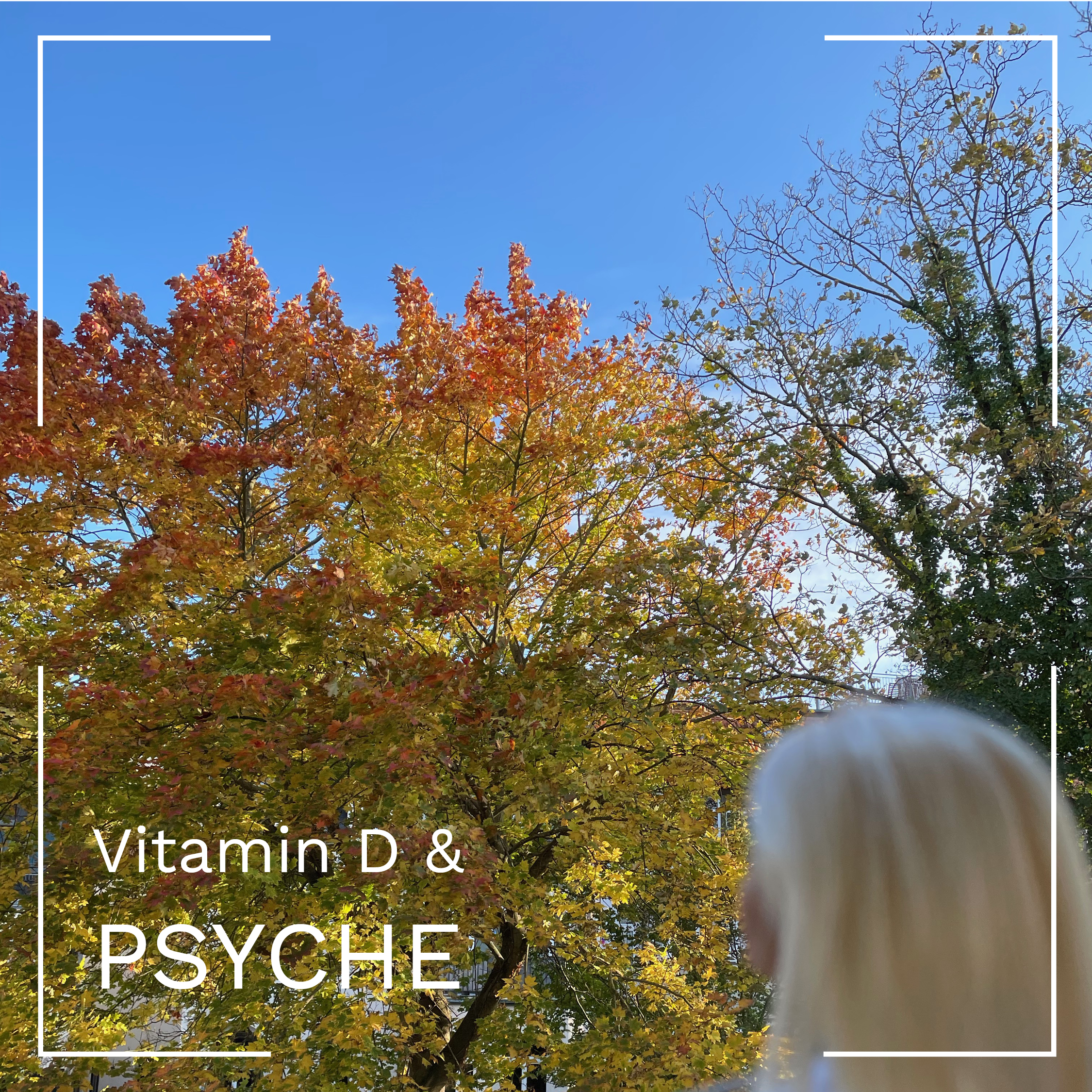 psychische Probleme durch Vitamin D Mangel