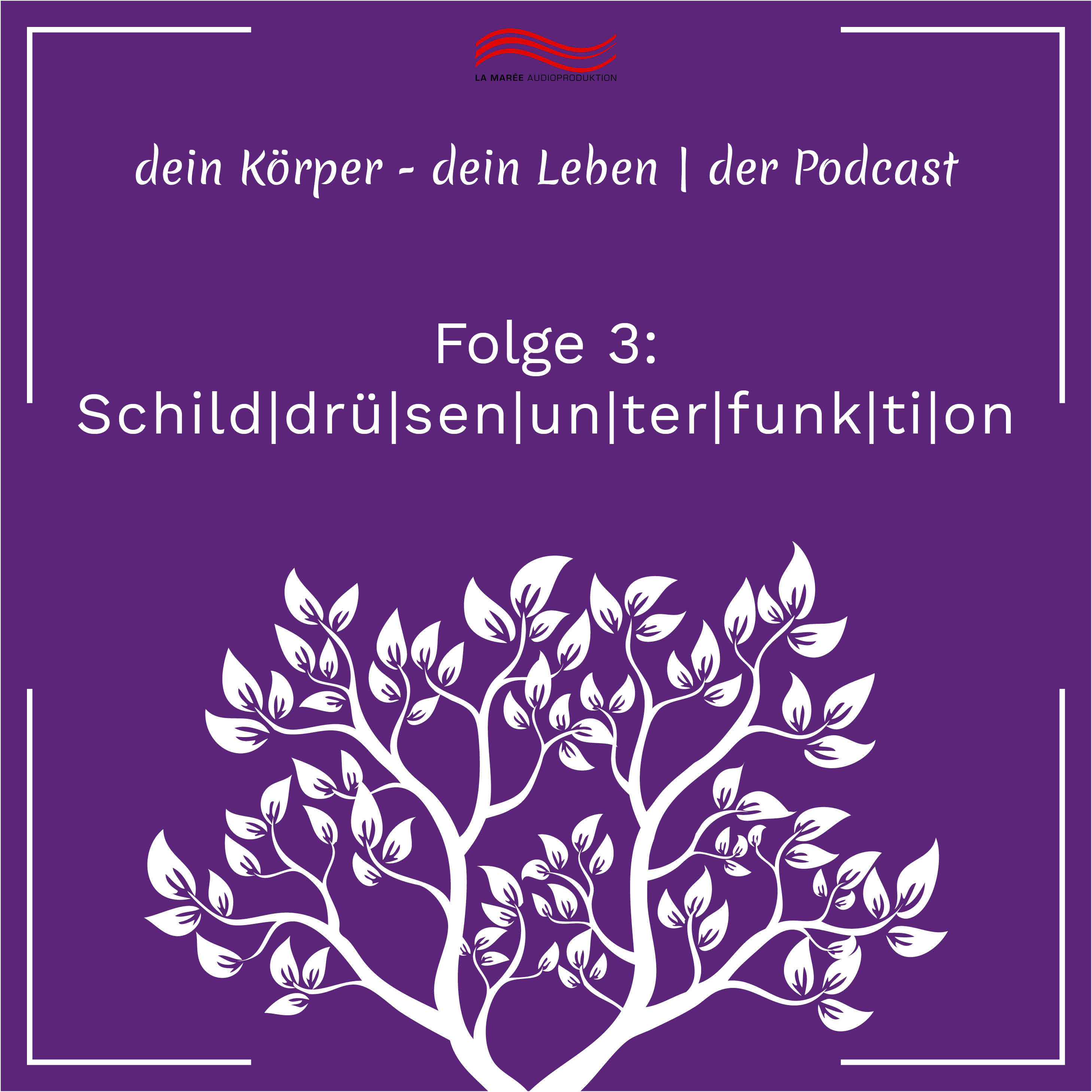 [Podcast] Schilddrüsenunterfunktion ≠ Hashimoto Thyreoiditis